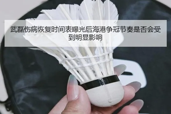武磊伤病恢复时间表曝光后海港争冠节奏是否会受到明显影响