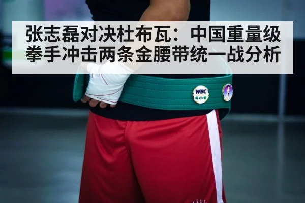 boxing championship belts