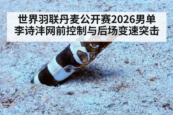 世界羽联丹麦公开赛2026男单 李诗沣网前控制与后场变速突击