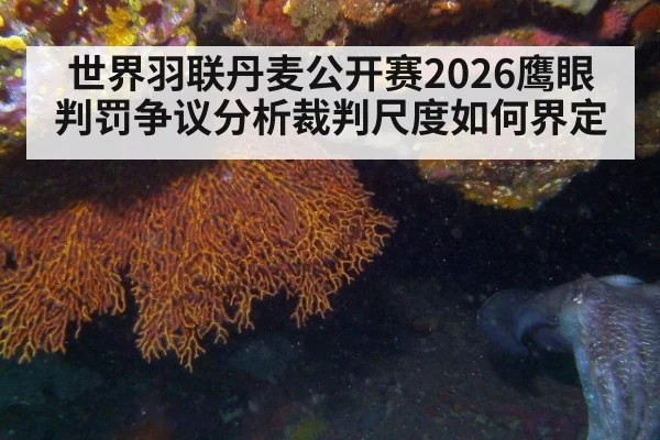 世界羽联丹麦公开赛2026鹰眼判罚争议分析裁判尺度如何界定