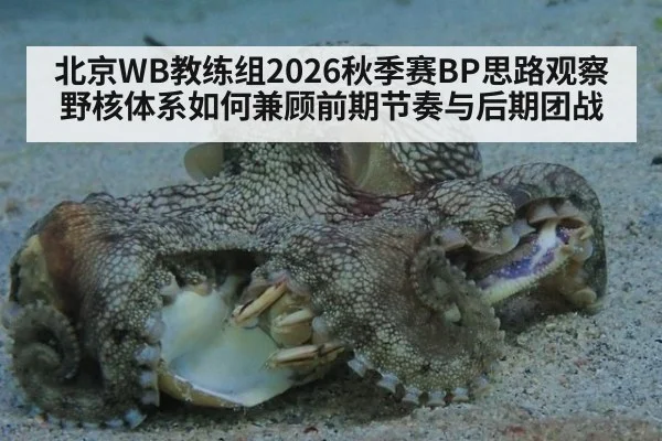 北京WB教练组2026秋季赛BP思路观察 野核体系如何兼顾前期节奏与后期团战